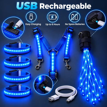 360° Illuminated Horse Harness & Glow Kit 🐎✨