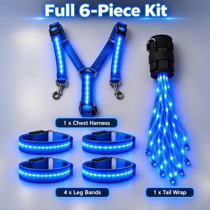360° Illuminated Horse Harness & Glow Kit 🐎✨
