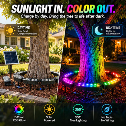🎄 Make Every Tree Glow for Christmas – Solar RGB Landscape Ring Light💜💙💚