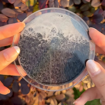 🌌Ocean Tide — Handcrafted Moving Wave Sand Art Coaster