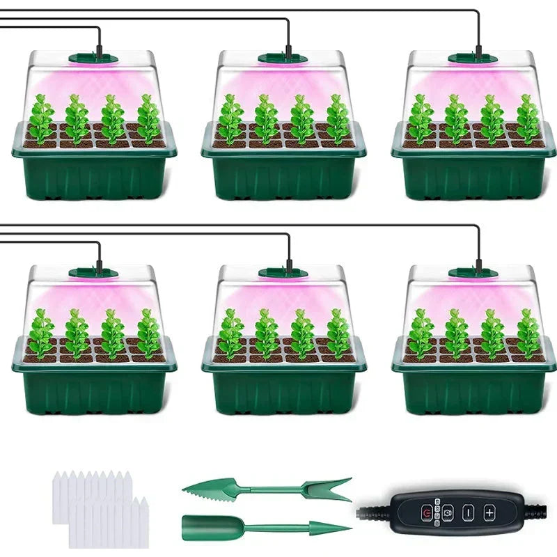 🔥50% discount while stocks last!🎉Seed starter trays with grow light