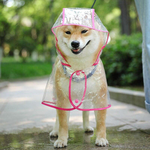 💥Transparent Raincoat For Dog