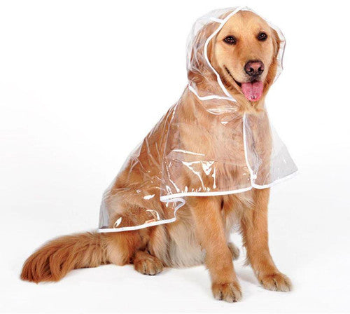 💥Transparent Raincoat For Dog