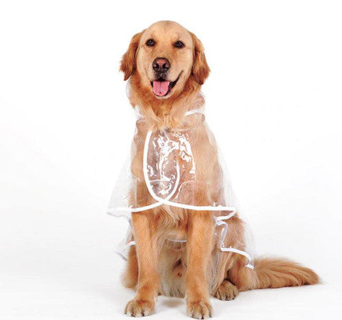 💥Transparent Raincoat For Dog