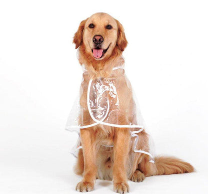 💥Transparent Raincoat For Dog