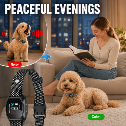 ⭐ Bestseller! No-shock anti-bark collar – beep & vibration modes, IP67 waterproof. Fits all sizes. 🐕✨