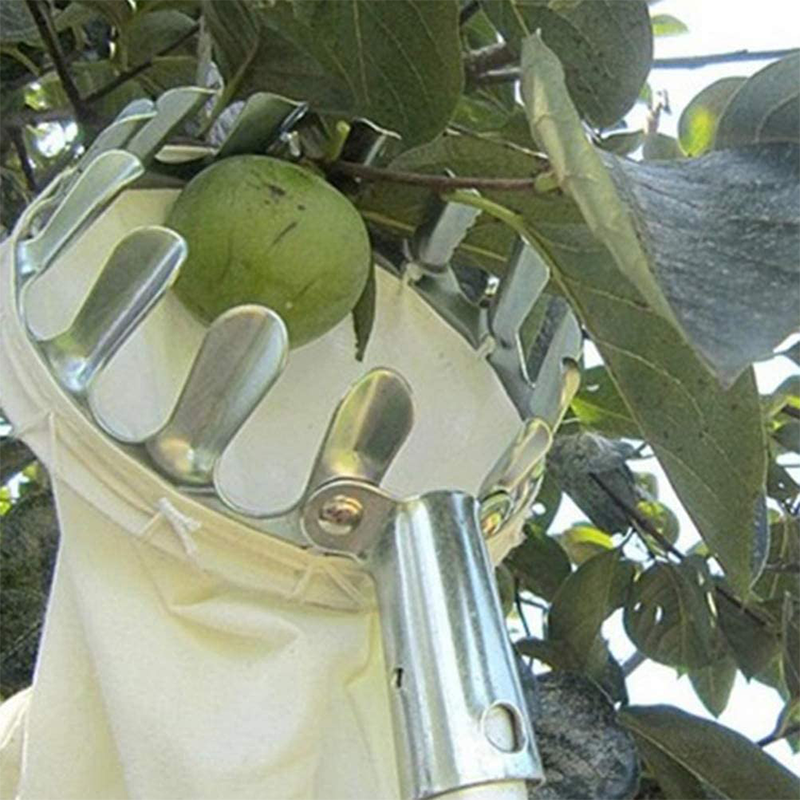 ⏳ Limited-Time Offer! 🍎 Fruit Picker Head Basket – No Ladder Needed, Reach High Branches & Pick Apples, Pears & More 🌳